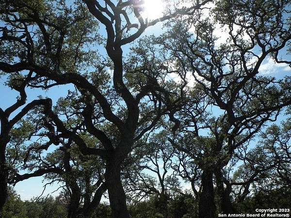 1 Acre of Residential Land for Sale in Bulverde, Texas