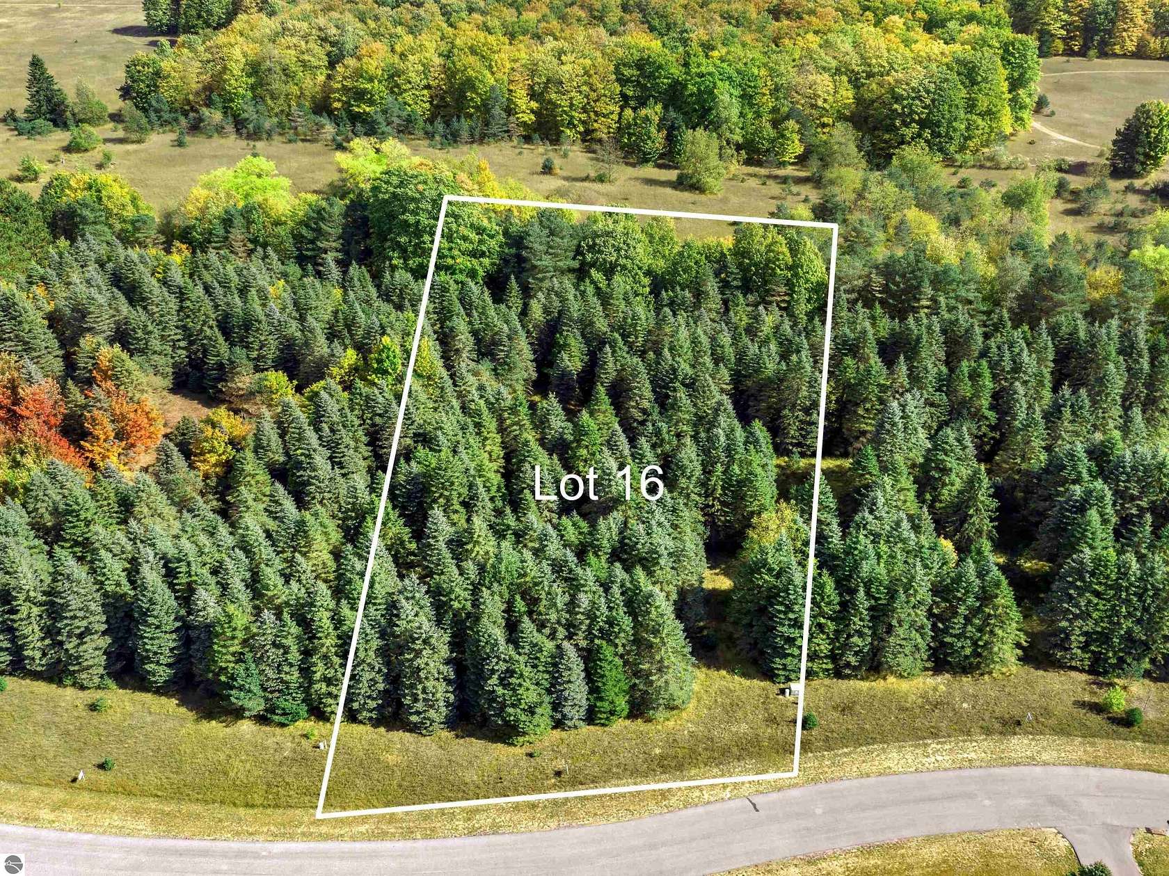 0.78 Acres of Land for Sale in Benzonia, Michigan