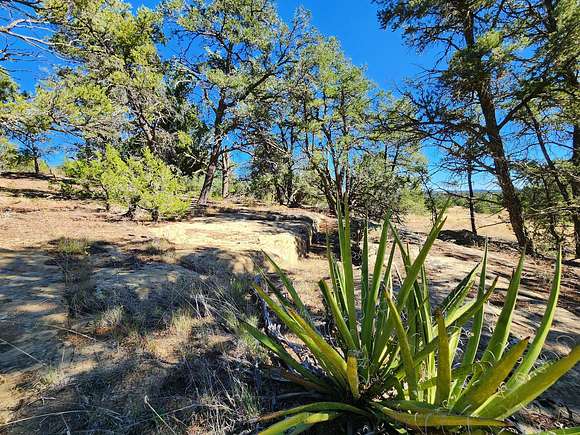 5.3 Acres of Land for Sale in Pinehill, New Mexico