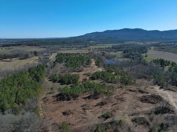 80 Acres of Recreational Land & Farm for Sale in Piedmont, Alabama