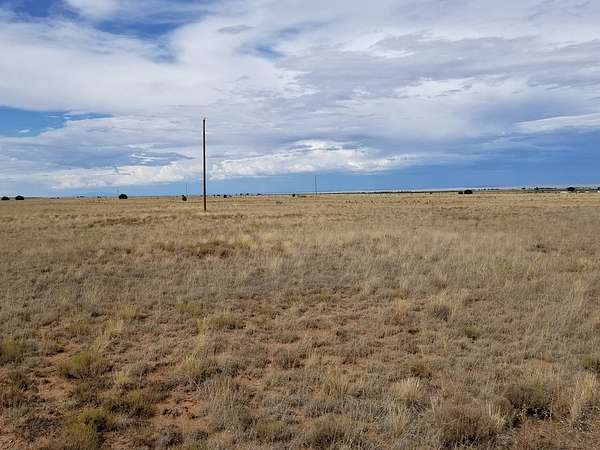 10 Acres of Land for Sale in Estancia, New Mexico