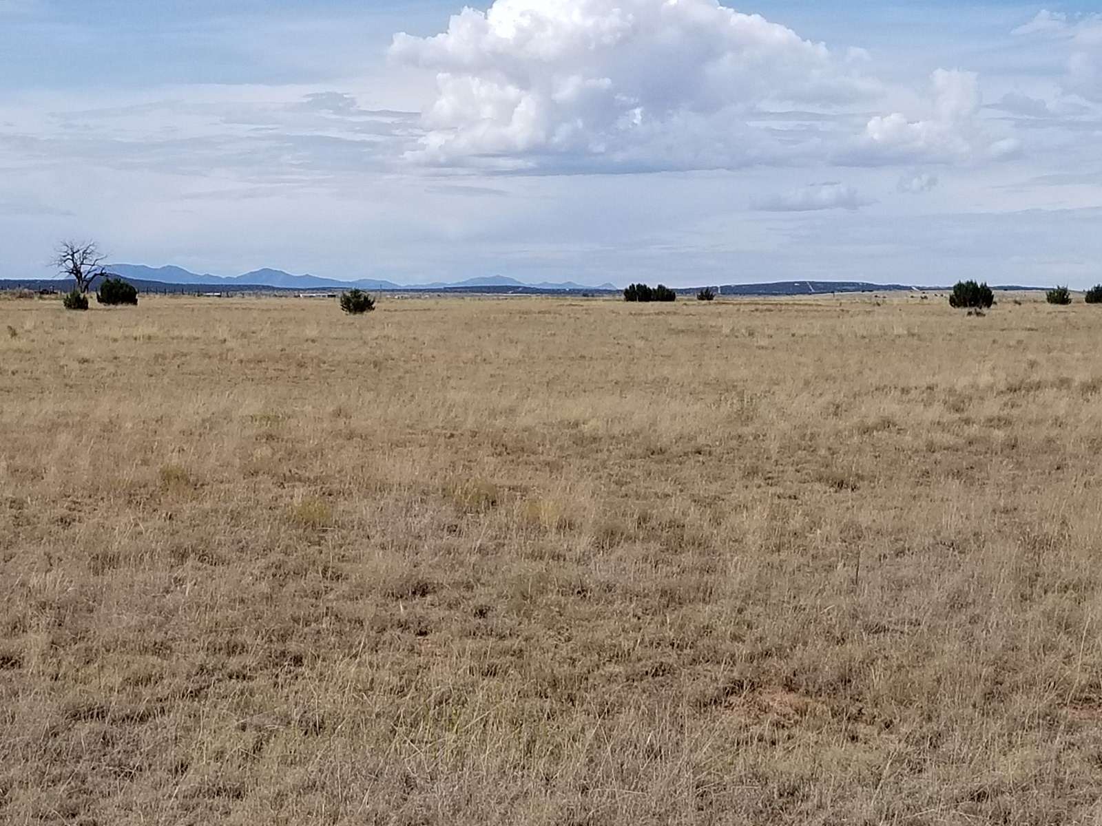 10 Acres of Agricultural Land for Sale in Estancia, New Mexico