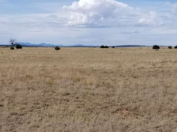 10 Acres of Agricultural Land for Sale in Estancia, New Mexico