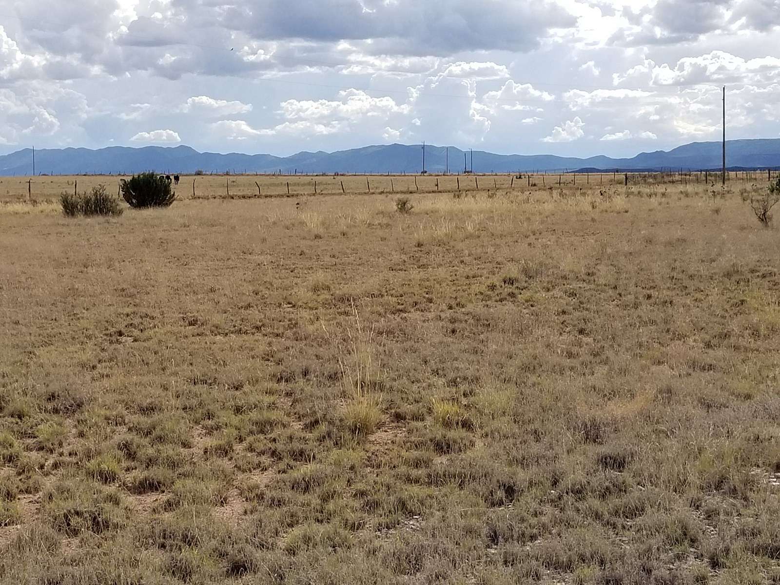 10 Acres of Agricultural Land for Sale in Estancia, New Mexico