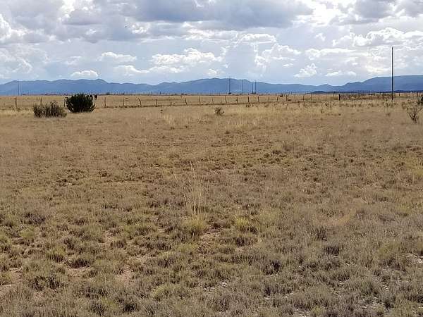 10 Acres of Agricultural Land for Sale in Estancia, New Mexico