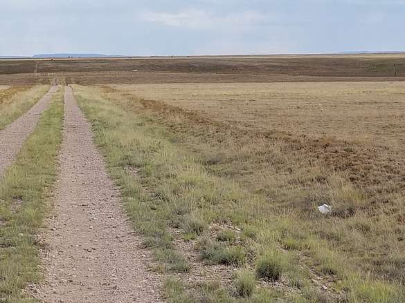 9.3 Acres of Land for Sale in Estancia, New Mexico