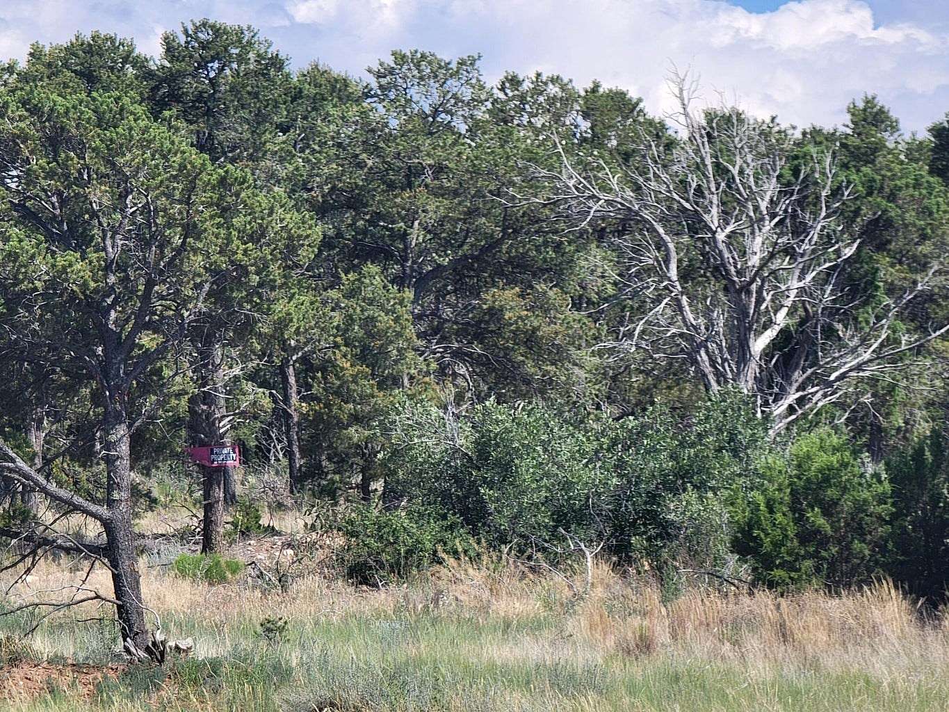 9.7 Acres of Recreational Land & Farm for Sale in Tijeras, New Mexico