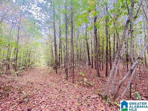 23 Acres of Land for Sale in Odenville, Alabama