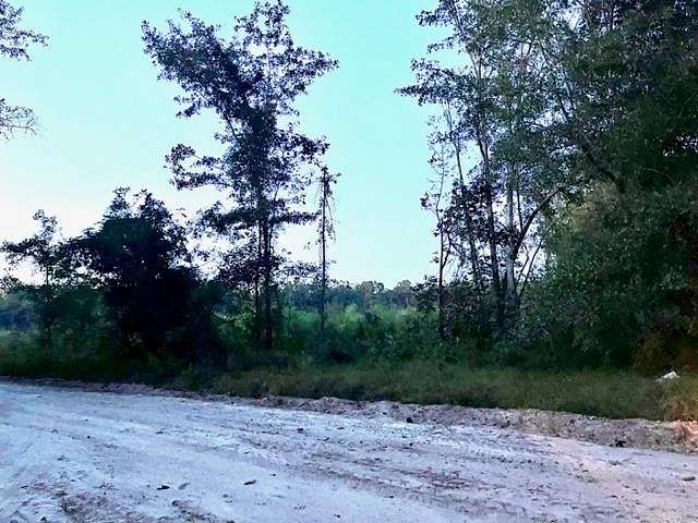 1.3 Acres of Land for Sale in Manning, South Carolina