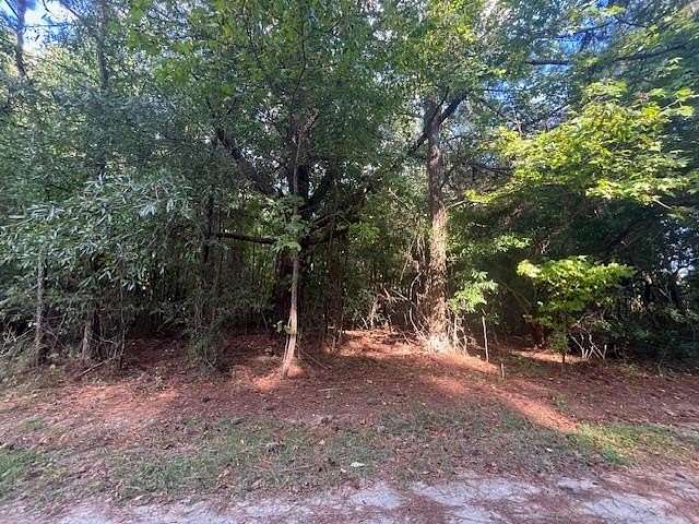 1.27 Acres of Land for Sale in Manning, South Carolina