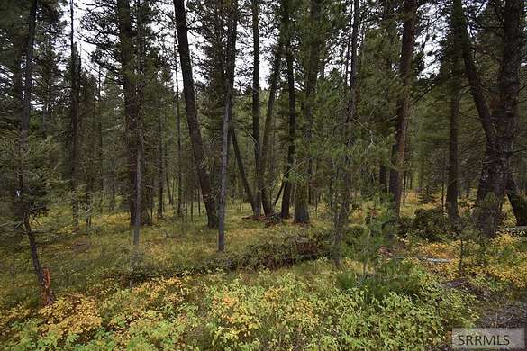 2.22 Acres of Residential Land for Sale in Island Park, Idaho