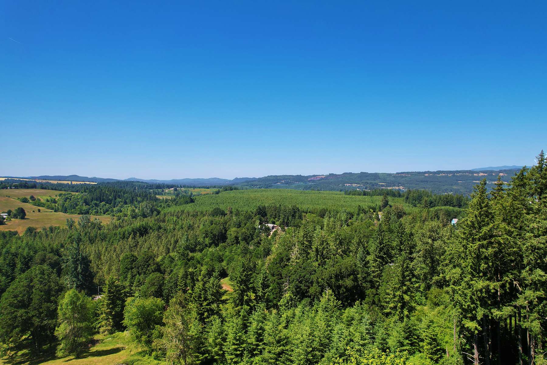 22.1 Acres of Recreational Land for Sale in Sweet Home, Oregon