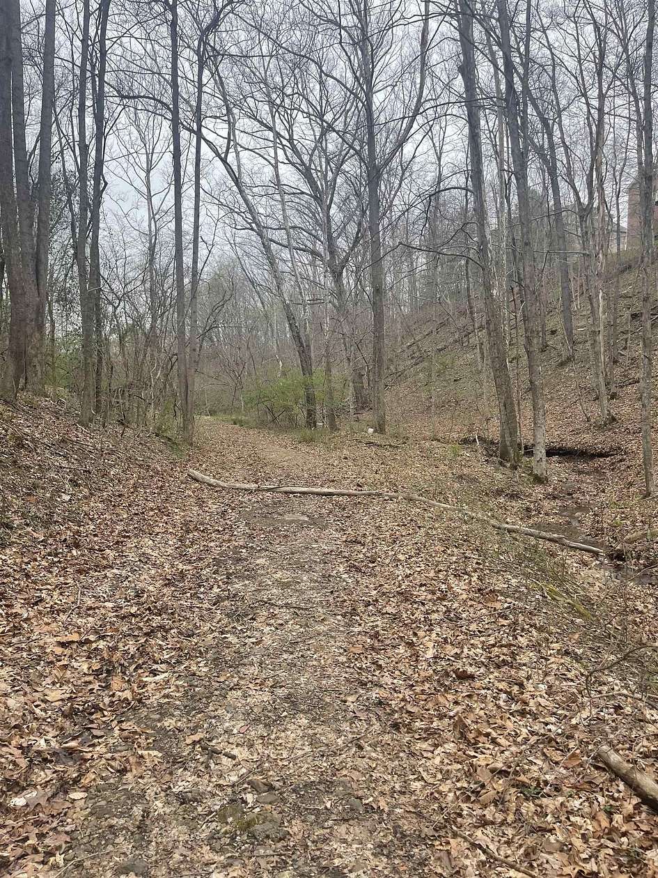 170 Acres of Recreational Land for Sale in Huntington, West Virginia