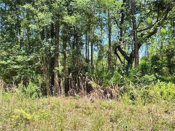 0.33 Acres of Residential Land for Sale in Citra, Florida