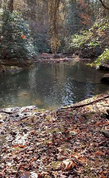 Land For Sale In Oakdale Tn