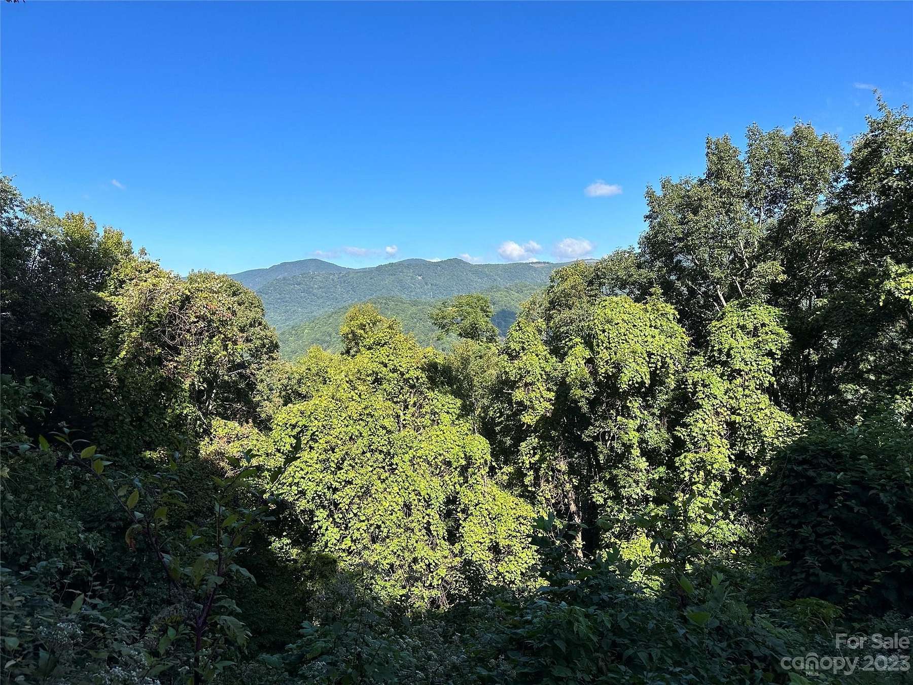 2 Acres of Land for Sale in Maggie Valley, North Carolina
