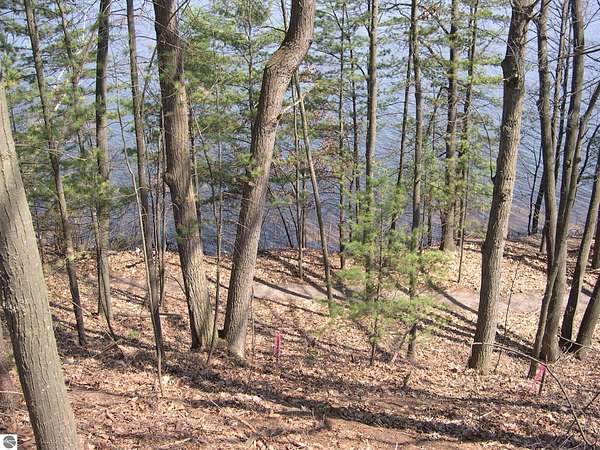 0.3 Acres of Land for Sale in Traverse City, Michigan