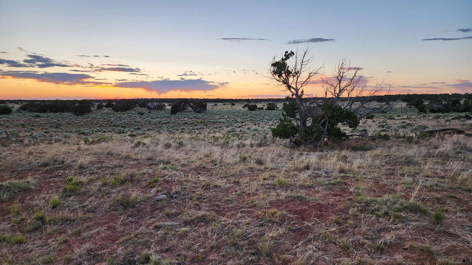 18.8 Acres of Recreational Land for Sale in Concho, Arizona