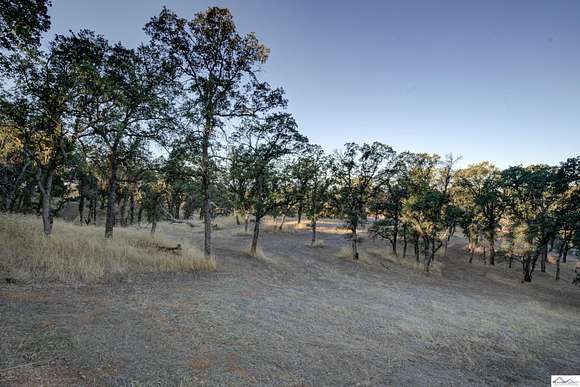 1.6 Acres of Residential Land for Sale in Red Bluff, California