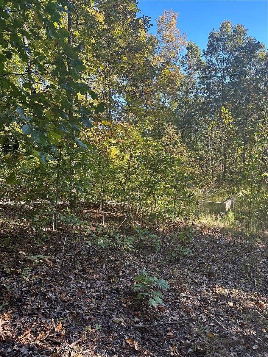 0.69 Acres of Residential Land for Sale in Van Buren, Missouri