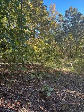 0.69 Acres of Residential Land for Sale in Van Buren, Missouri