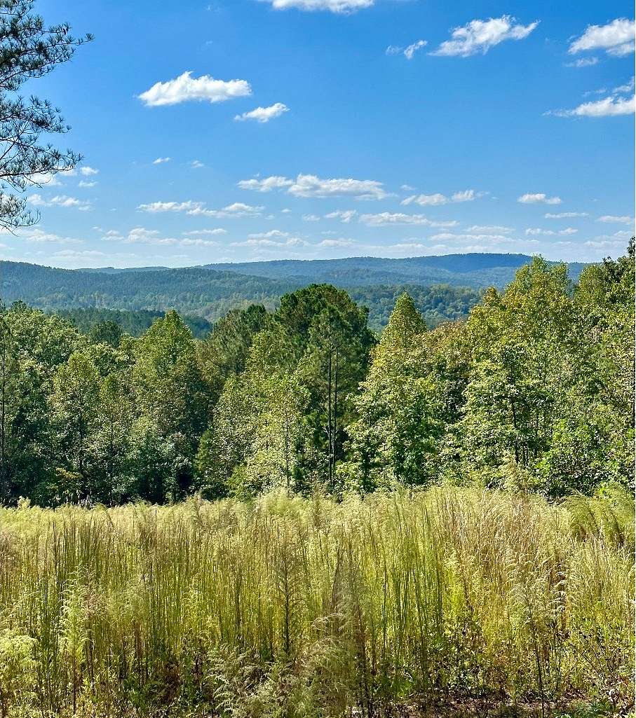 4.4 Acres of Residential Land for Sale in Ellijay, Georgia