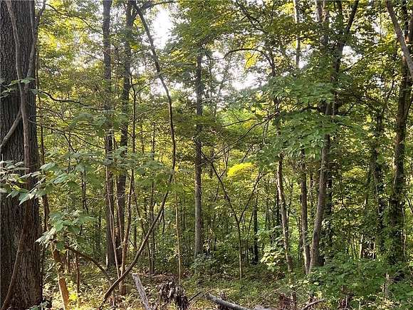 0.43 Acres of Residential Land for Sale in Bella Vista, Arkansas