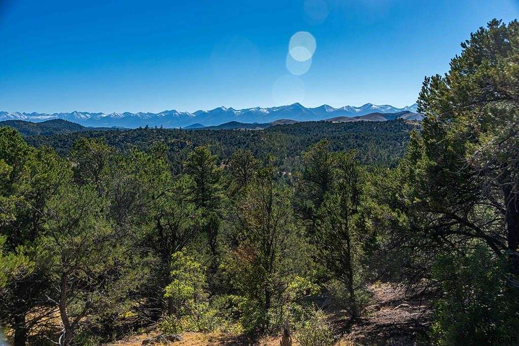 45 Acres of Land for Sale in Cotopaxi, Colorado