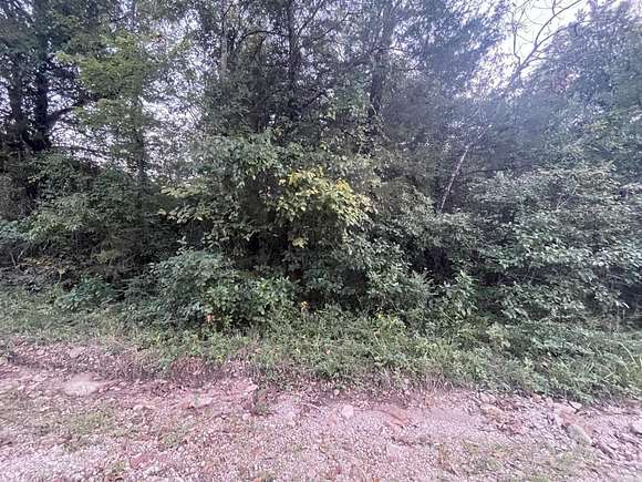 0.17 Acres of Residential Land for Sale in Diamond City, Arkansas