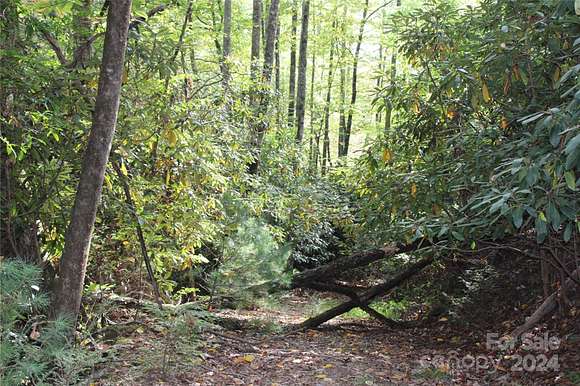 1.2 Acres of Residential Land for Sale in Pisgah Forest, North Carolina
