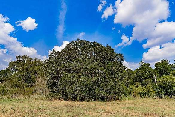 76.3 Acres of Land for Sale in Ledbetter, Texas