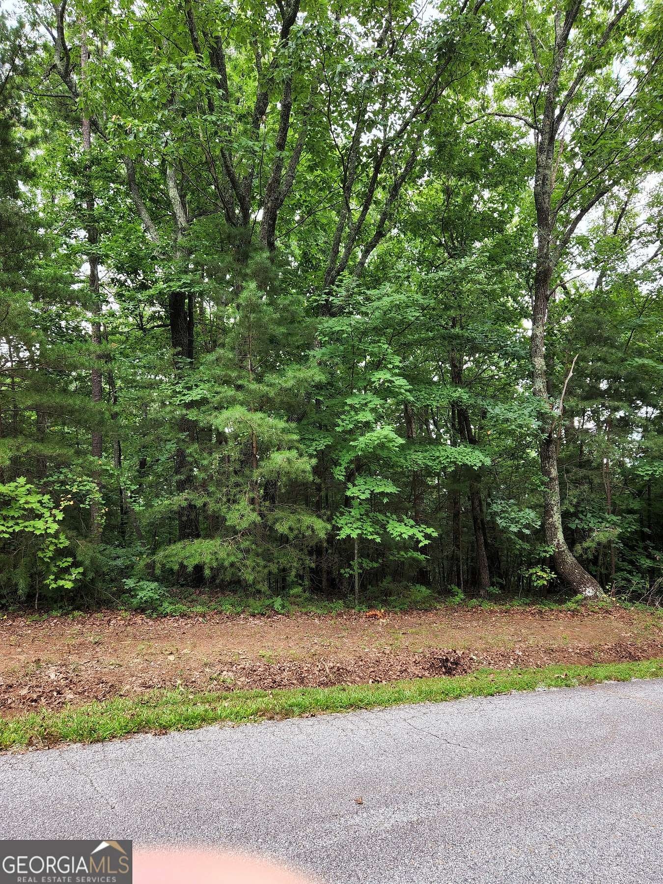 2 Acres of Residential Land for Sale in Clarkesville, Georgia