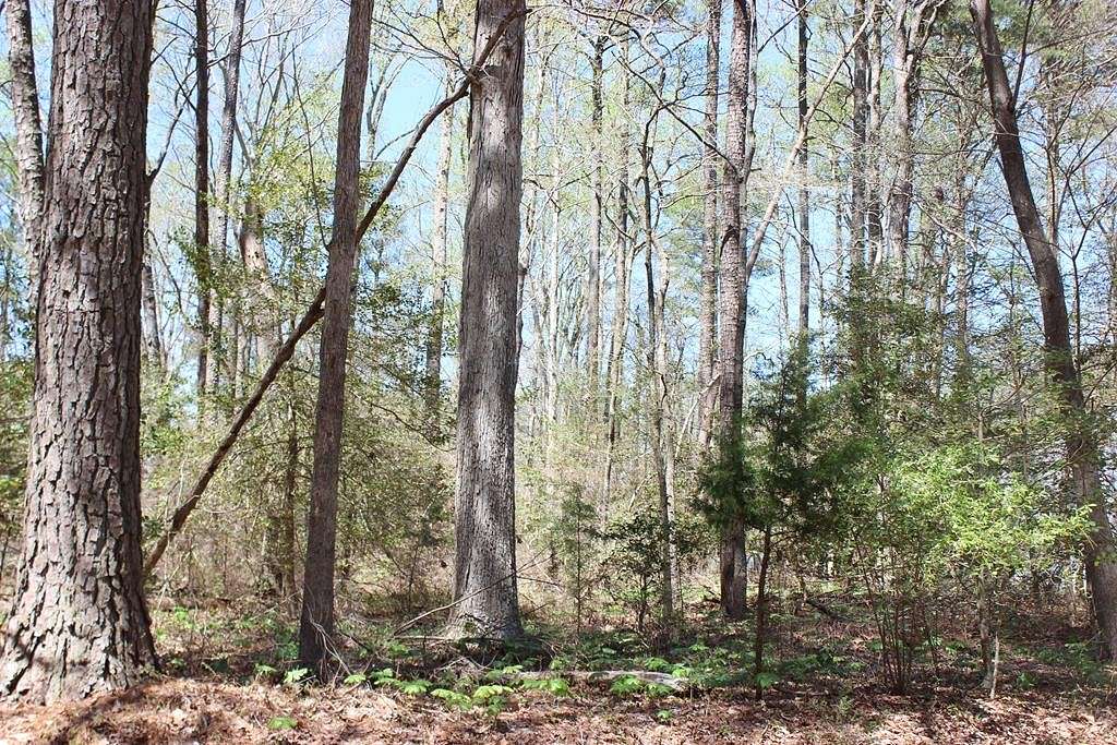 0.22 Acres of Land for Sale in Greenbackville, Virginia
