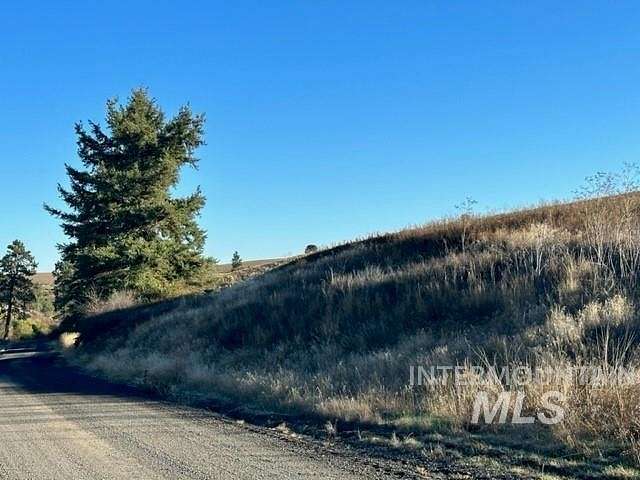 49 Acres of Agricultural Land for Sale in Kendrick, Idaho