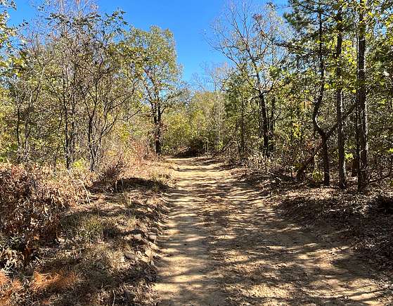 80 Acres of Recreational Land for Auction in Bigelow, Arkansas