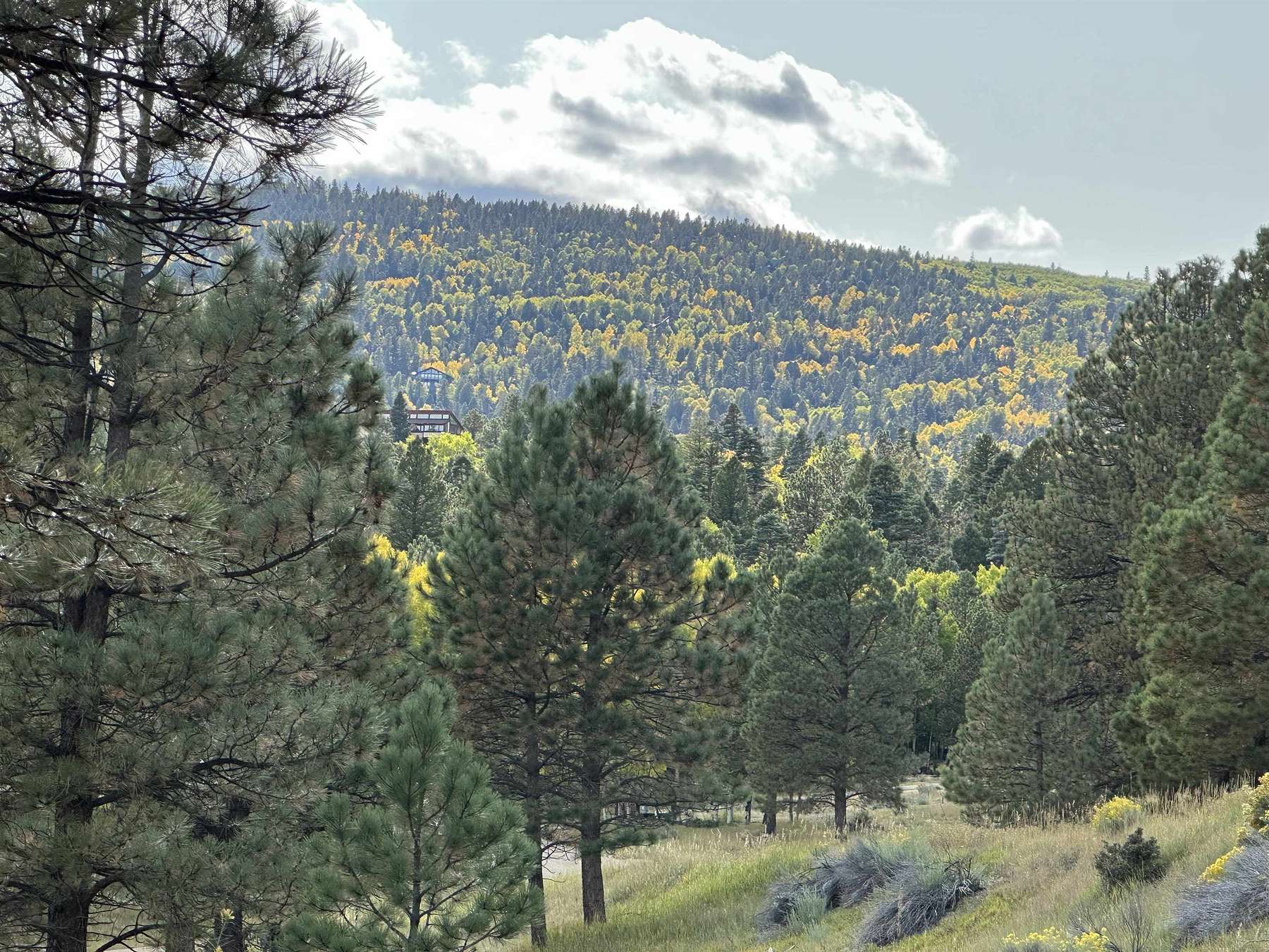 0.66 Acres of Residential Land for Sale in Angel Fire, New Mexico