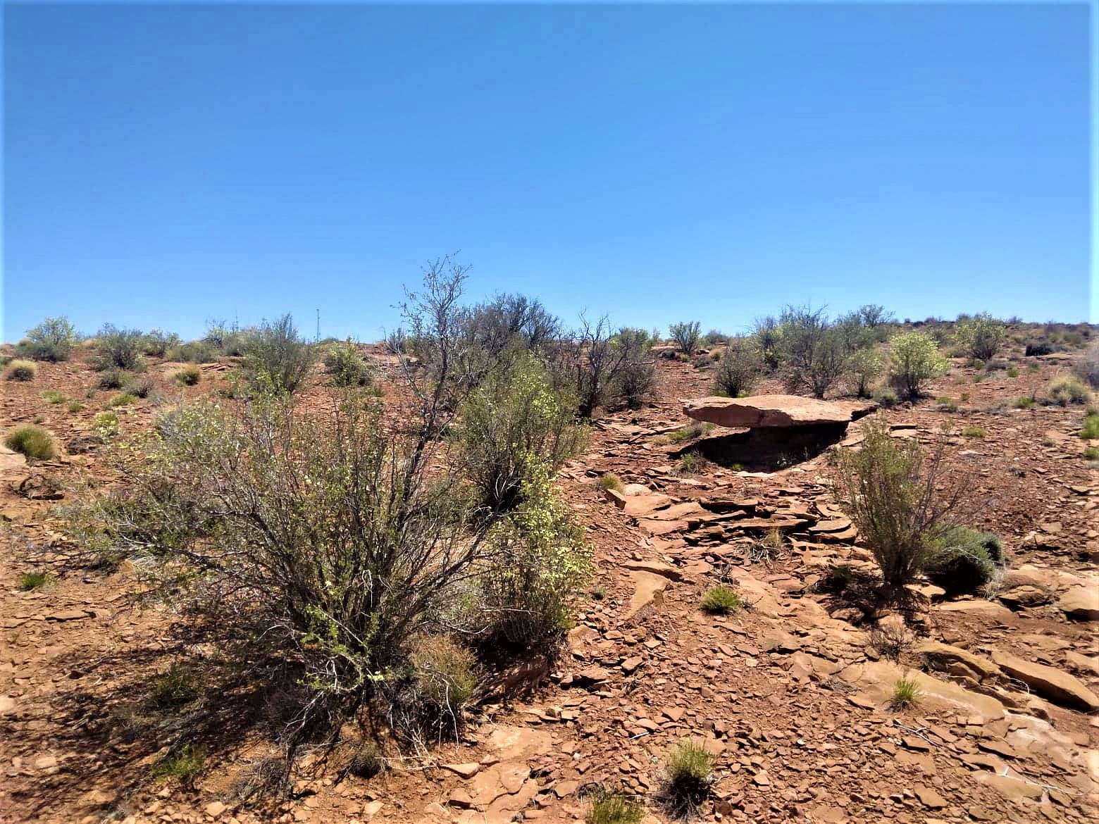 5 Acres of Land for Sale in Holbrook, Arizona