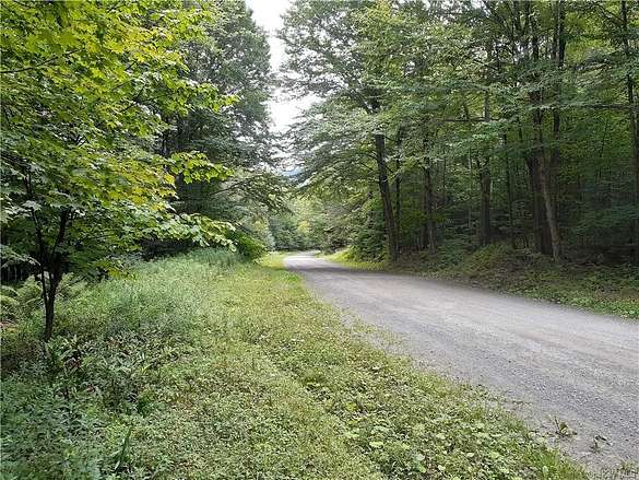 17 Acres of Recreational Land for Sale in Fremont Town, New York