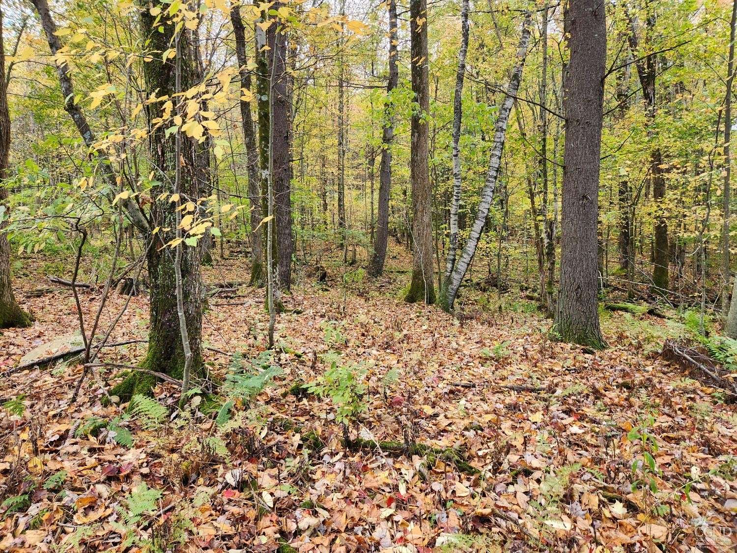 8.3 Acres of Land for Sale in New Lebanon, New York
