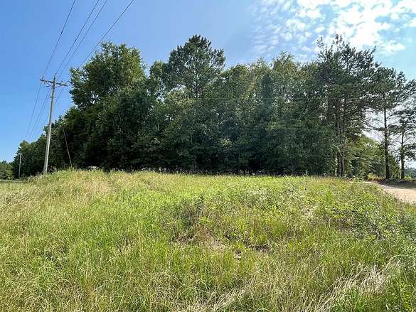 7.4 Acres of Residential Land for Sale in Clio, Alabama