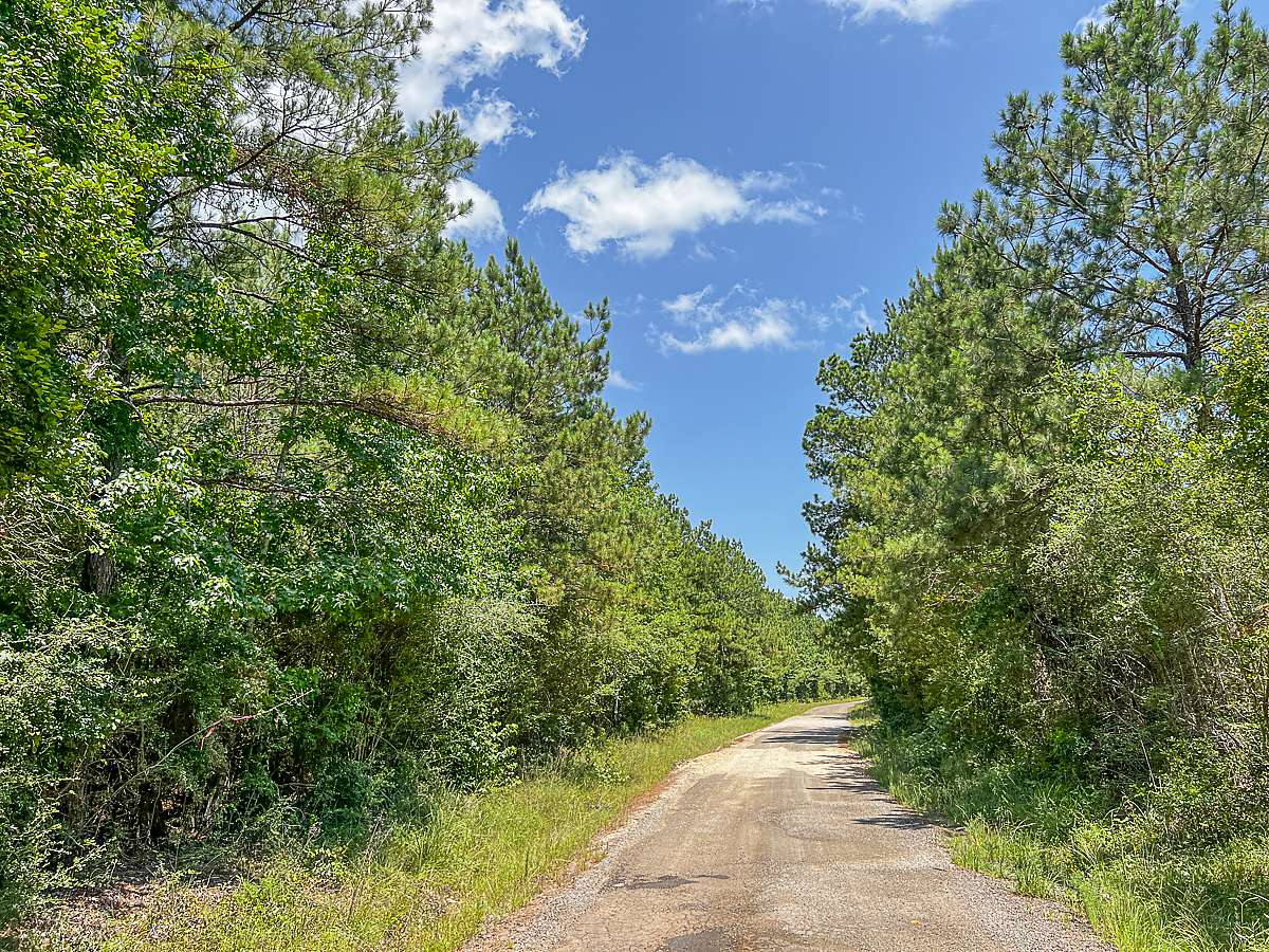 56 Acres of Recreational Land & Farm for Sale in Zavalla, Texas