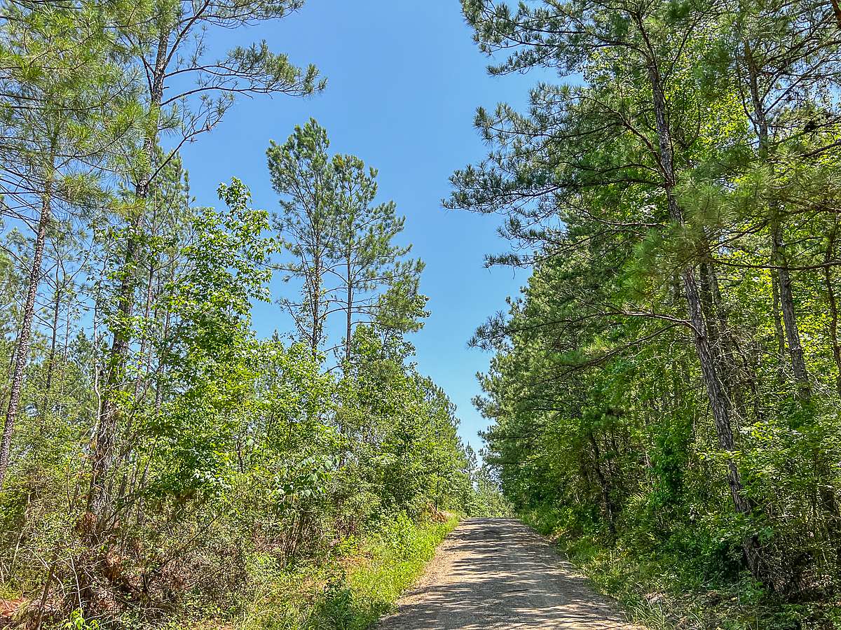 46 Acres of Recreational Land & Farm for Sale in Zavalla, Texas