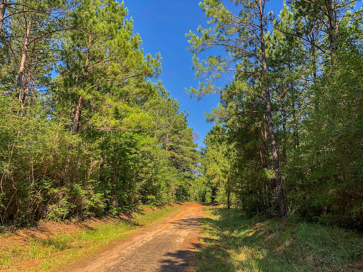 27 Acres of Recreational Land & Farm for Sale in Zavalla, Texas