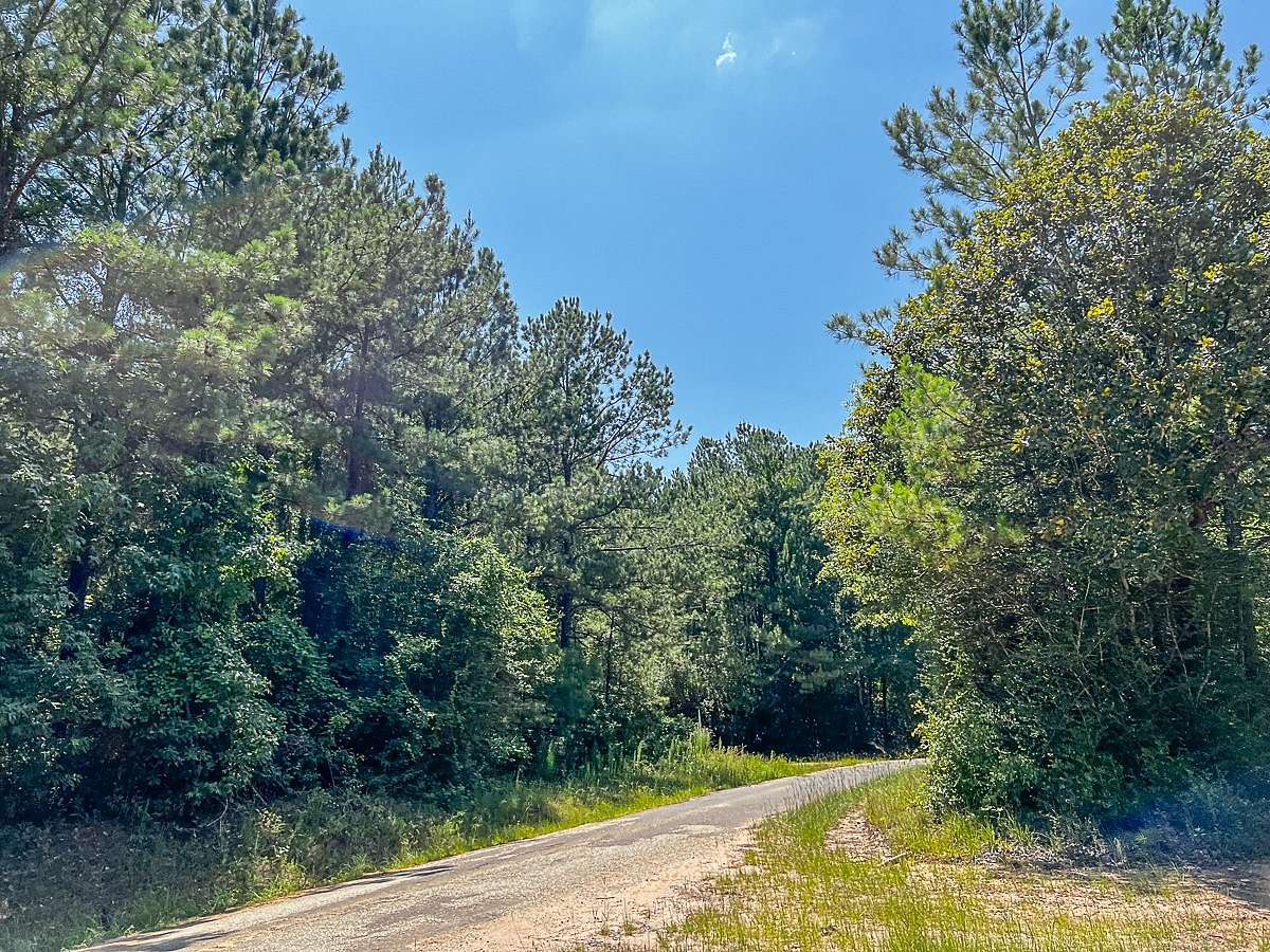 25 Acres of Land for Sale in Zavalla, Texas