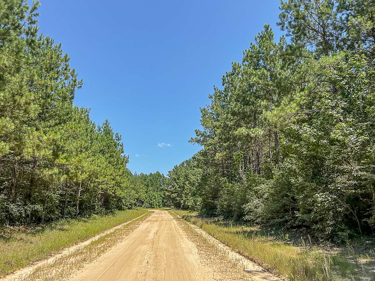 29 Acres of Recreational Land & Farm for Sale in Zavalla, Texas