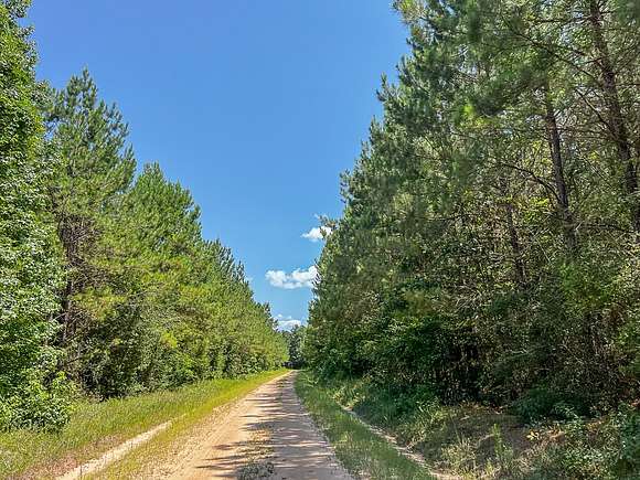 21 Acres of Land for Sale in Zavalla, Texas