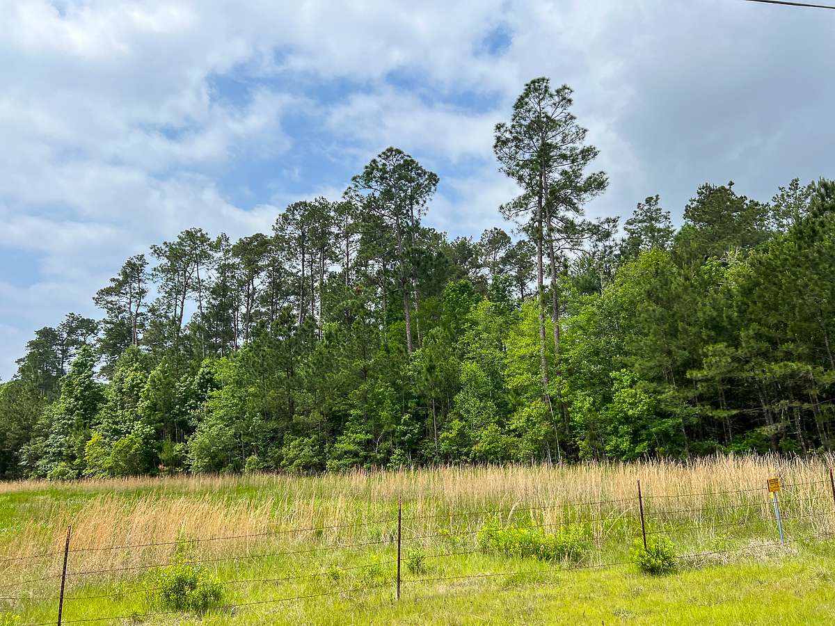 47 Acres of Recreational Land & Farm for Sale in Silsbee, Texas