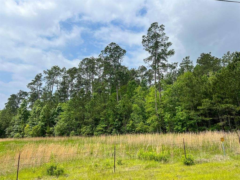 47 Acres of Recreational Land for Sale in Silsbee, Texas