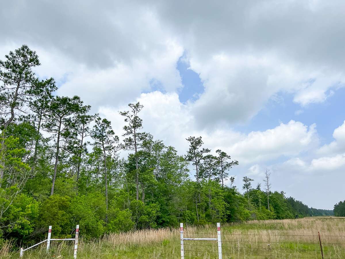 47 Acres of Recreational Land & Farm for Sale in Silsbee, Texas