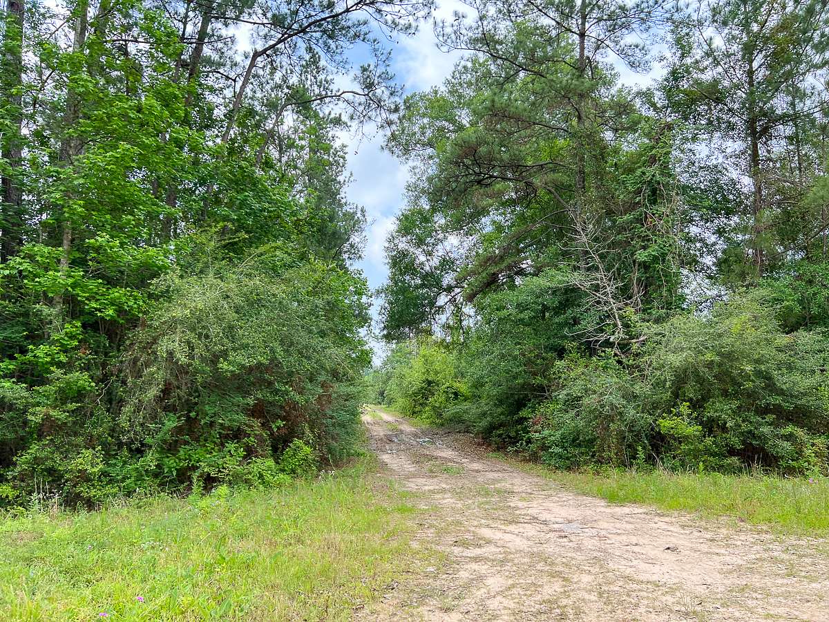 12 Acres of Recreational Land & Farm for Sale in Silsbee, Texas